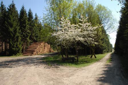 Pension Haus Talblick Winterberg Exterior foto